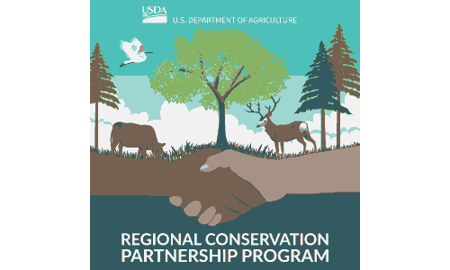 Rcpp Logoi NBGIF RCPP Strategic Operational Leadership Meeting | National Bobwhite ...